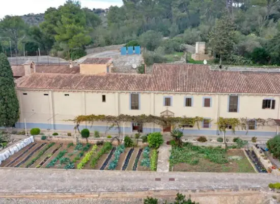 Nuevo proyecto (4)